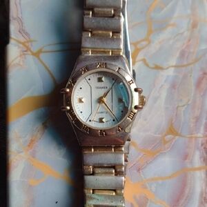 Terner Stainless Steel Gold and Silver Quartz Watch